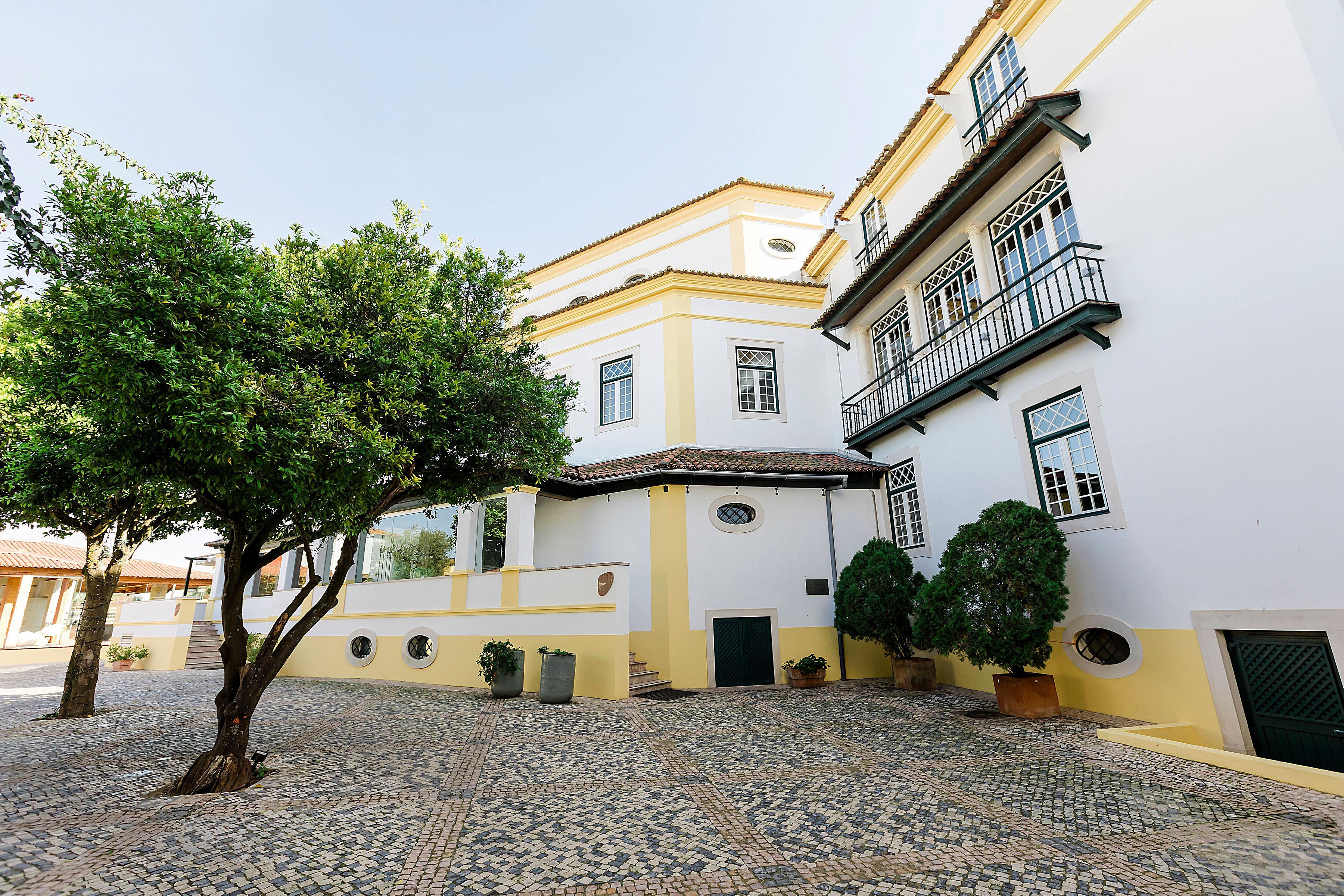 Hotel Lusitano Golegã Dış mekan fotoğraf