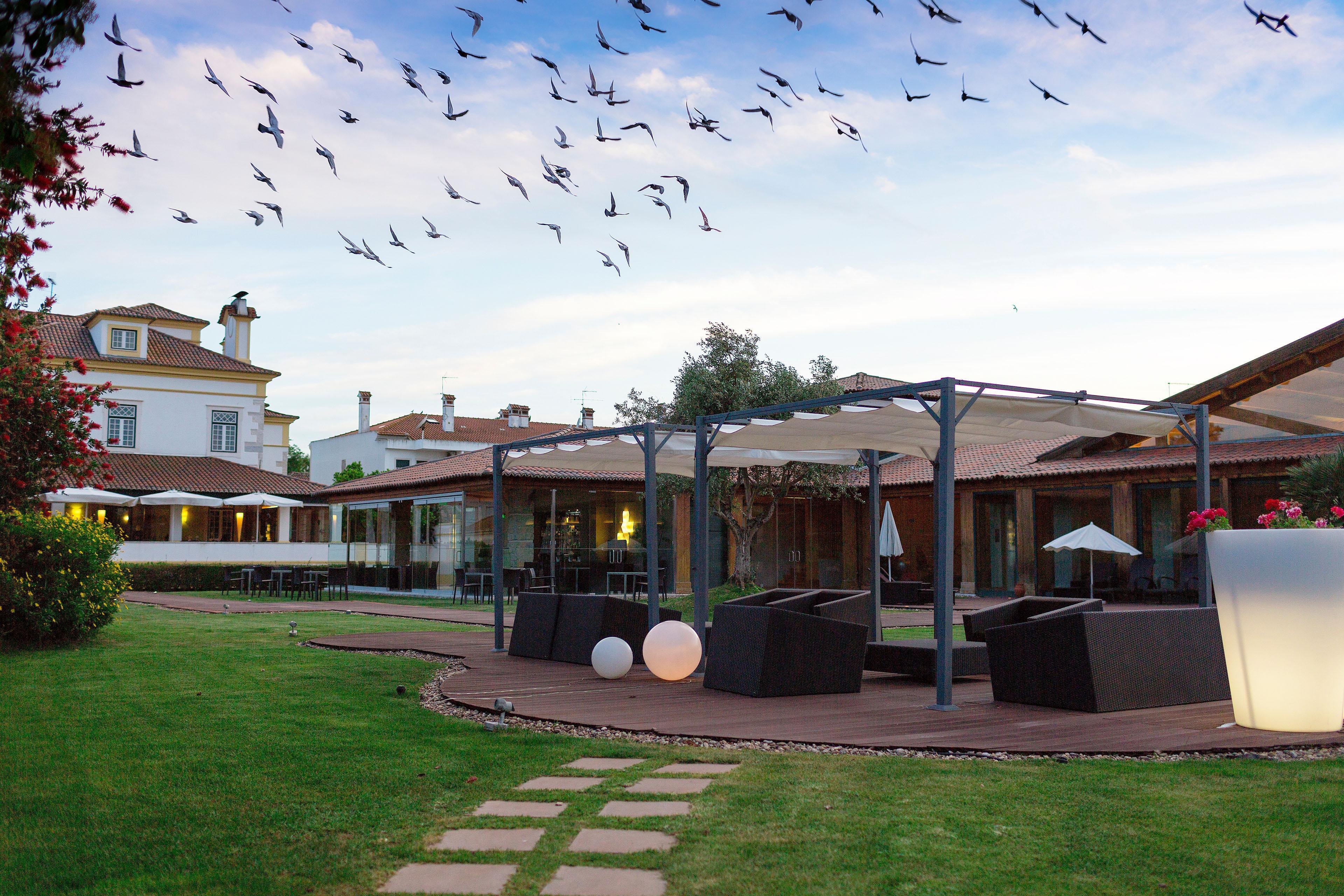 Hotel Lusitano Golegã Dış mekan fotoğraf